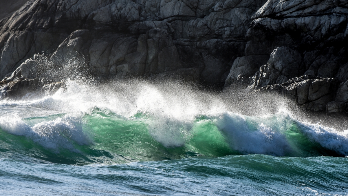 Pacific One of California