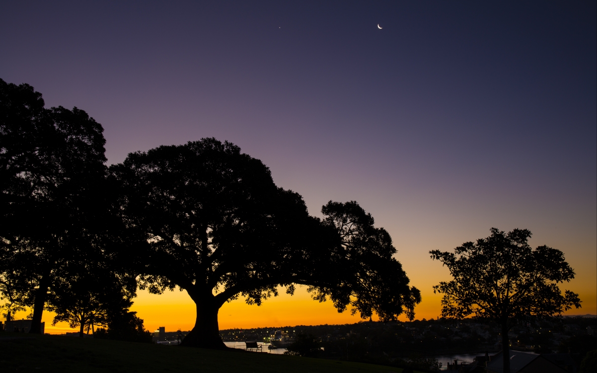 Sydney 4K landscape wall at dusk