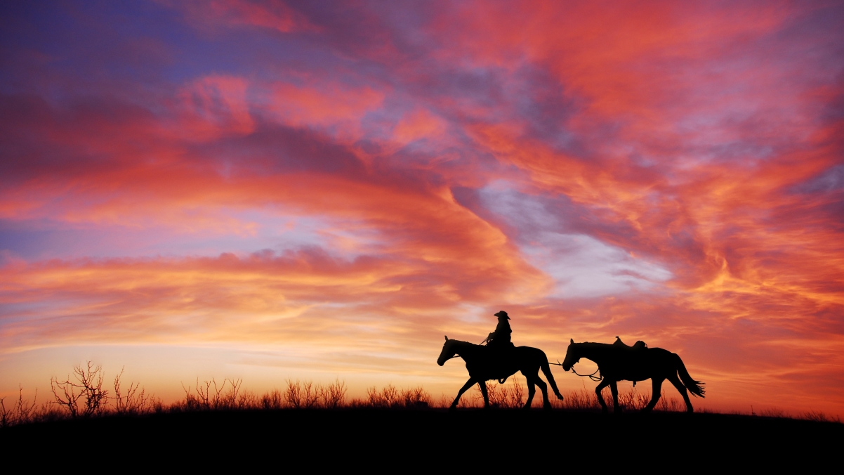 A girl riding a horse in the evening sunset 4k