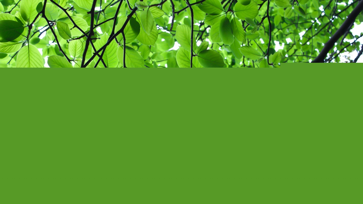 Eye protection 4k wallpaper