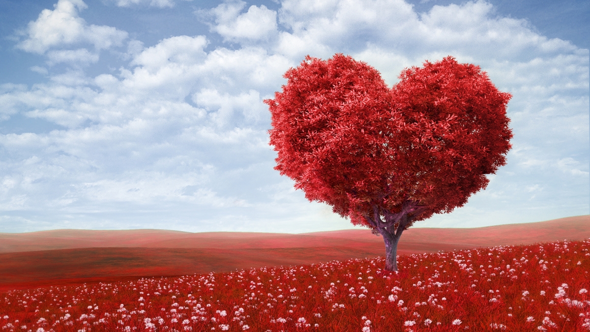Red heart-shaped tree, flower field, romantic love