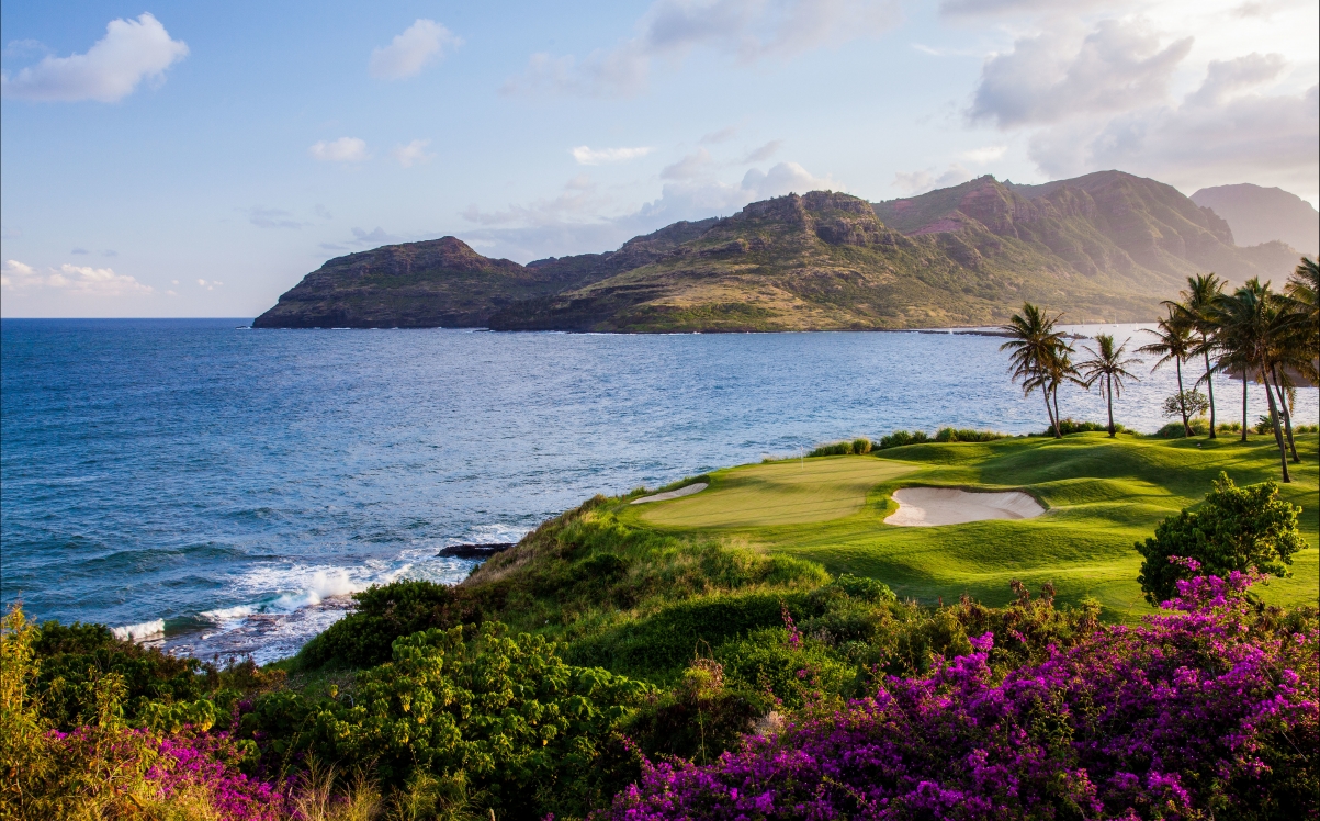 Ocean, coast, flowers, hills, plants