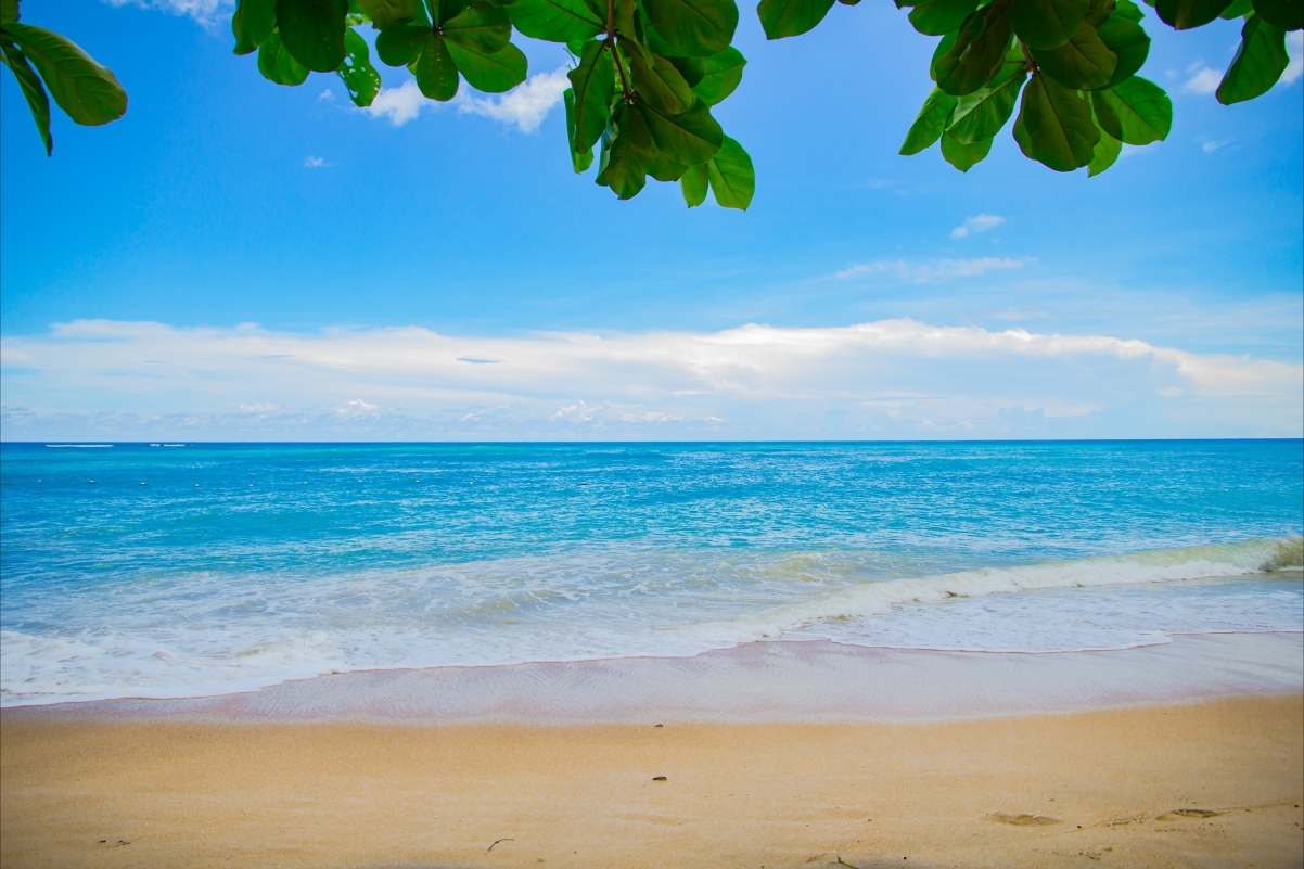 Beautiful beach with blue ocean and sky