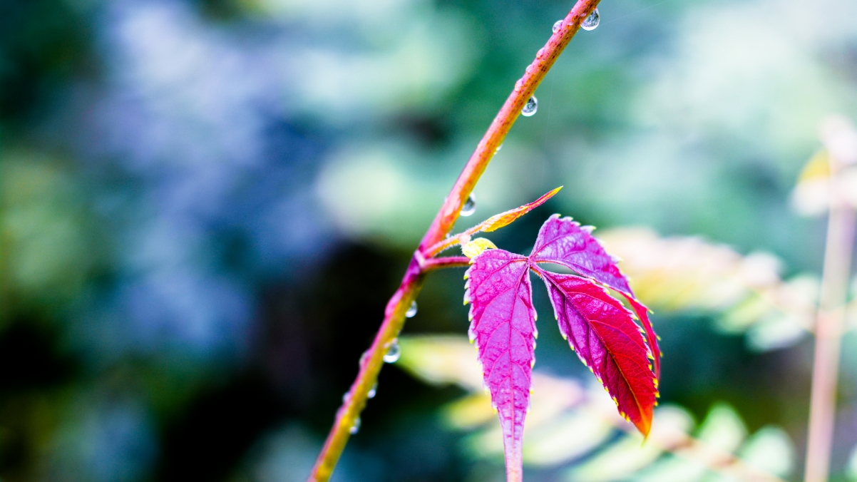 HD eye protection 4k wallpaper 3840x216