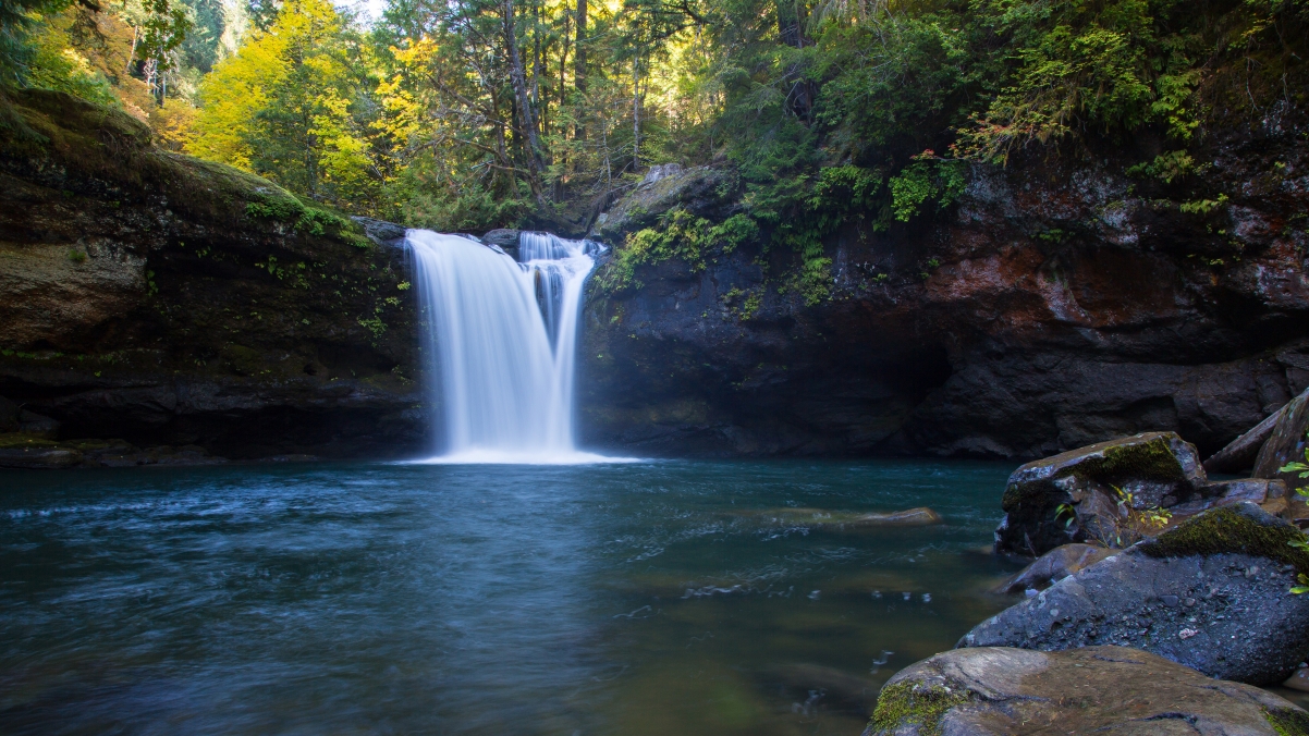 Coquille Falls, Oregon 4K Wind