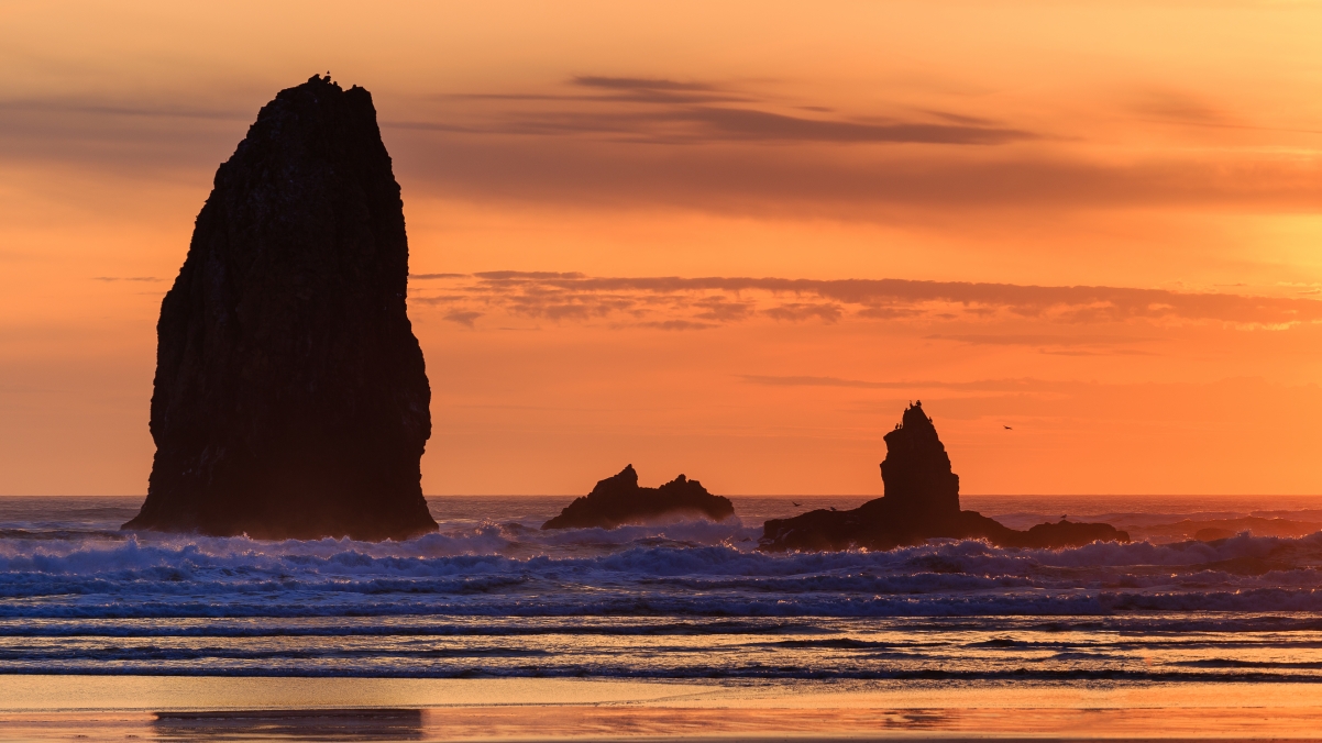 Cannon Beach Orange, Oregon