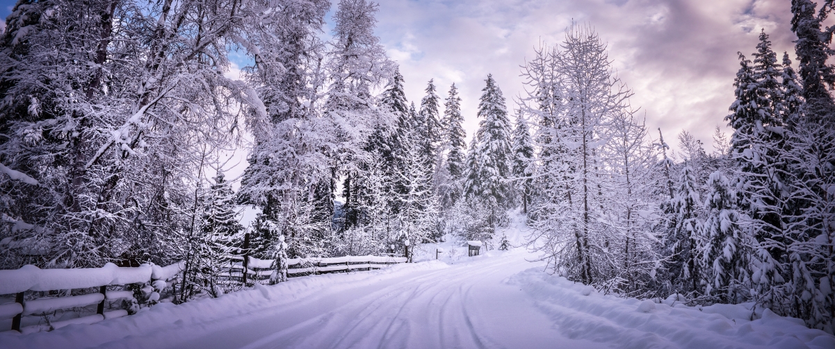 Winter Journey Landscape 3440x1440 Wallpaper