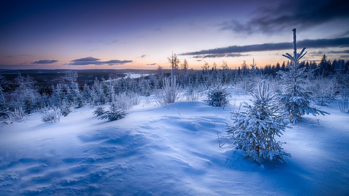 Winter snow landscape 4k HD wallpaper