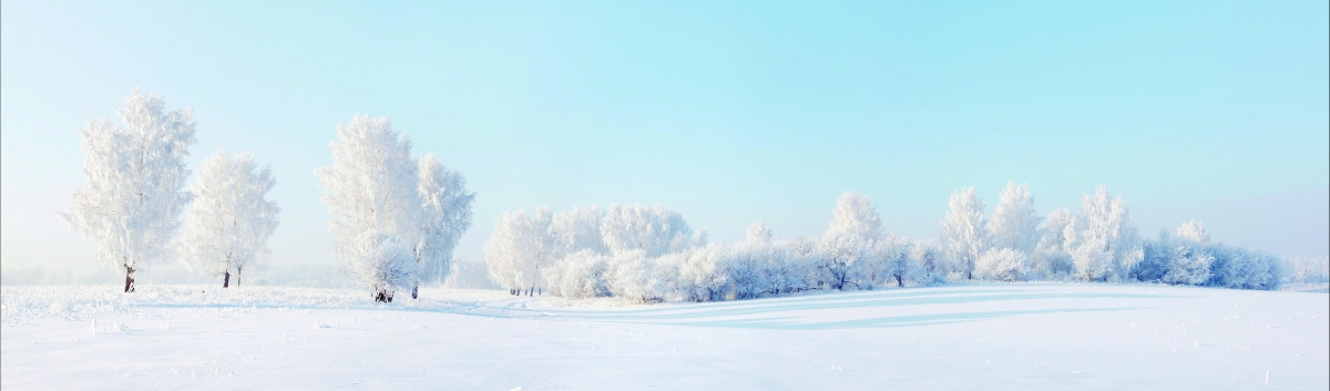 8K landscape pictures of winter snow trees
