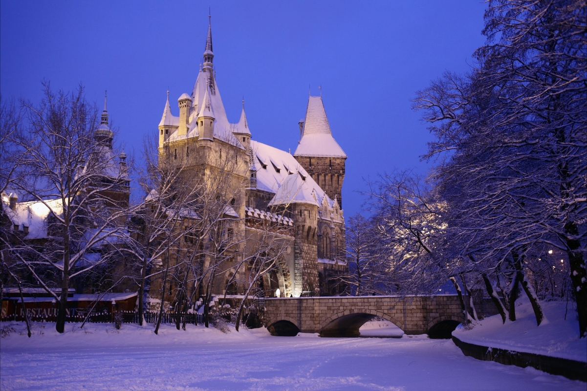 Winter snow city Buda, Hungary
