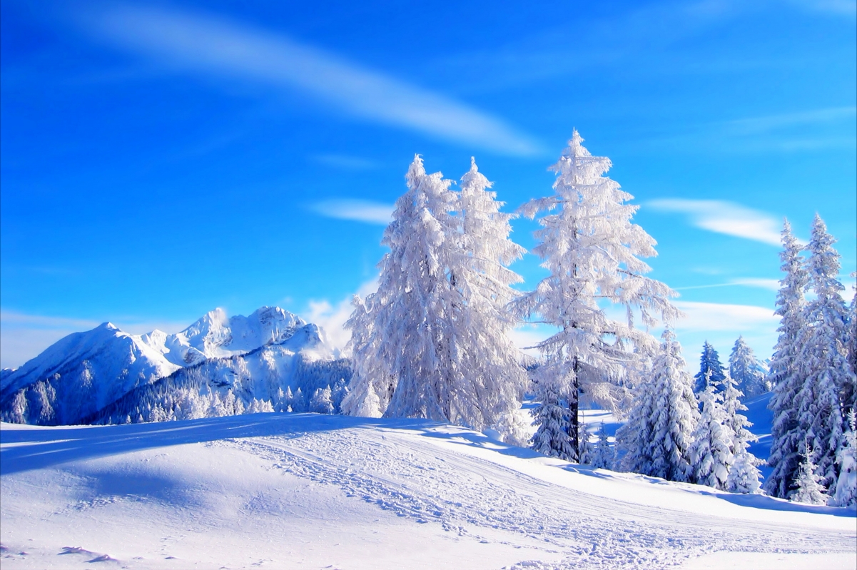 Winter, snow, nature, mountains, woods, wind
