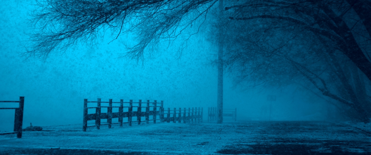 Winter, snow, trees, fence, Moscow