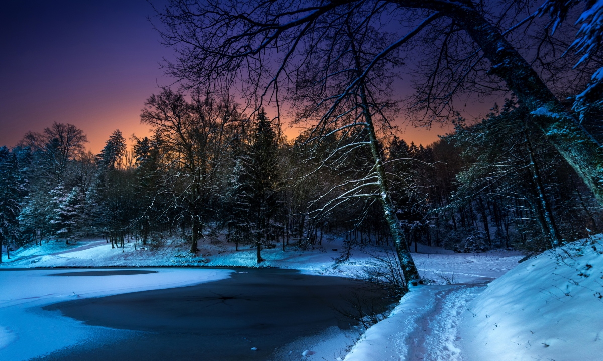 Winter, woods, snow, night, landscape