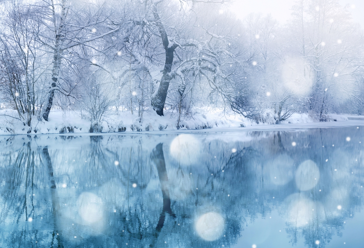 Winter snow trees river 7K landscape