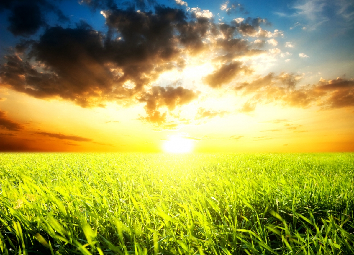Playground sunset light green grass 4K wall