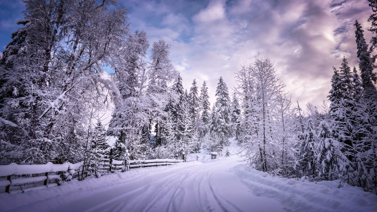 British Columbia, winter landscape