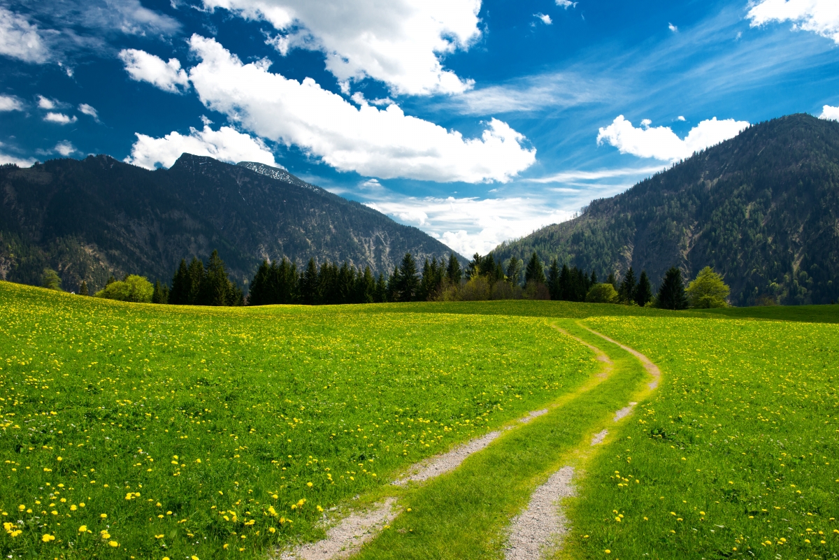 Bavarian Alps 4K