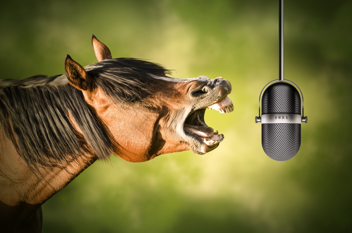 Horse microphone singing creative animal