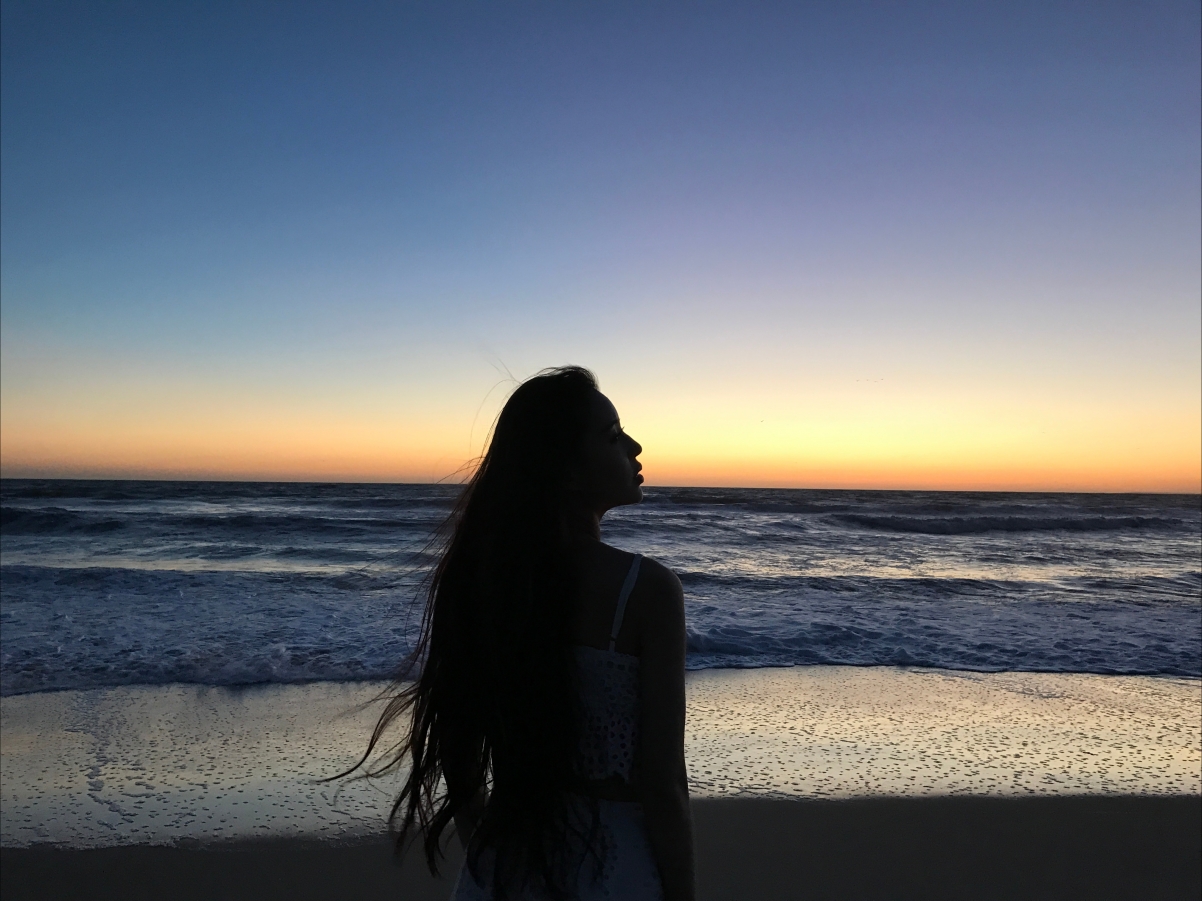 Wenxin Swan Beach Photography 4K Beauty