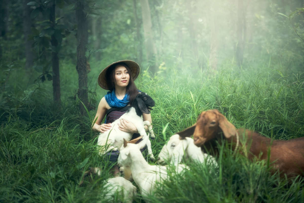 Woman holding lamb in forest woods