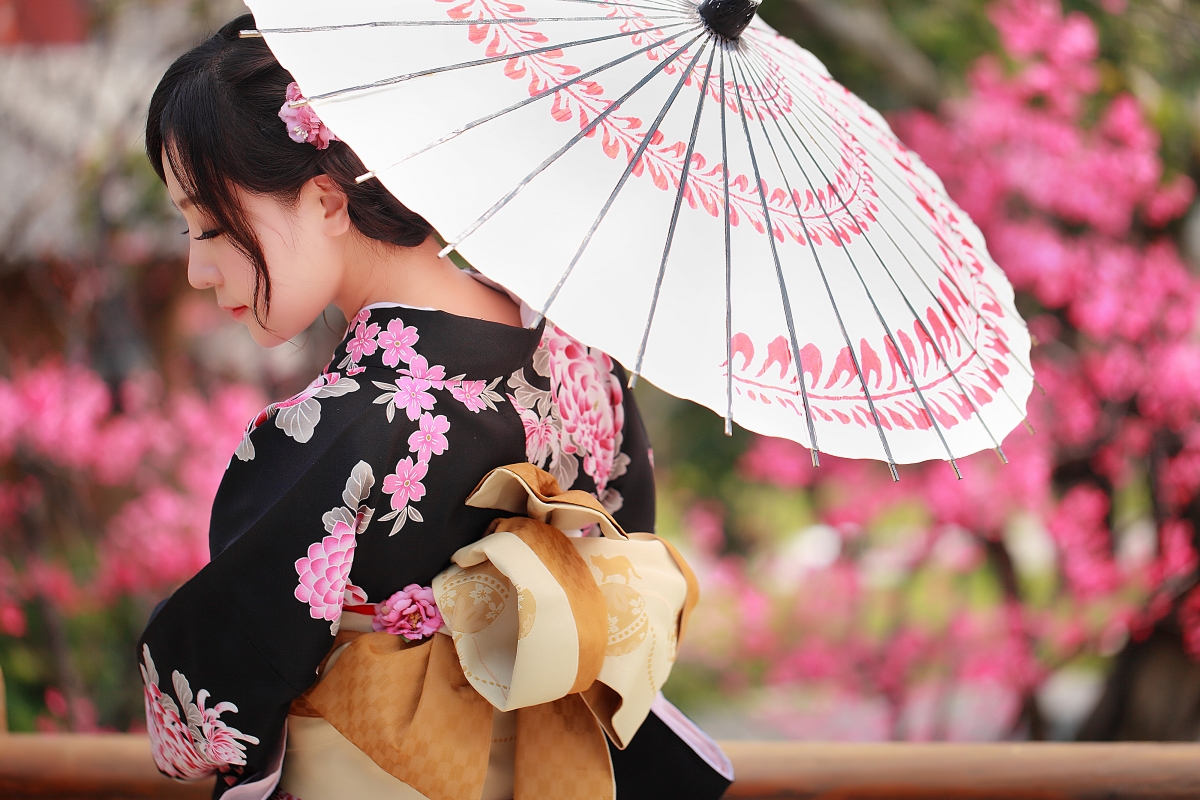 Japanese kimono beauty umbrella Sakura Yui