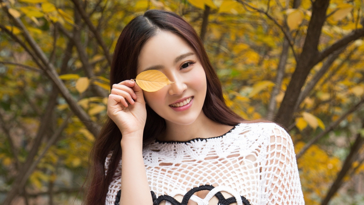 Autumn leaves beauty outdoor photo 4k