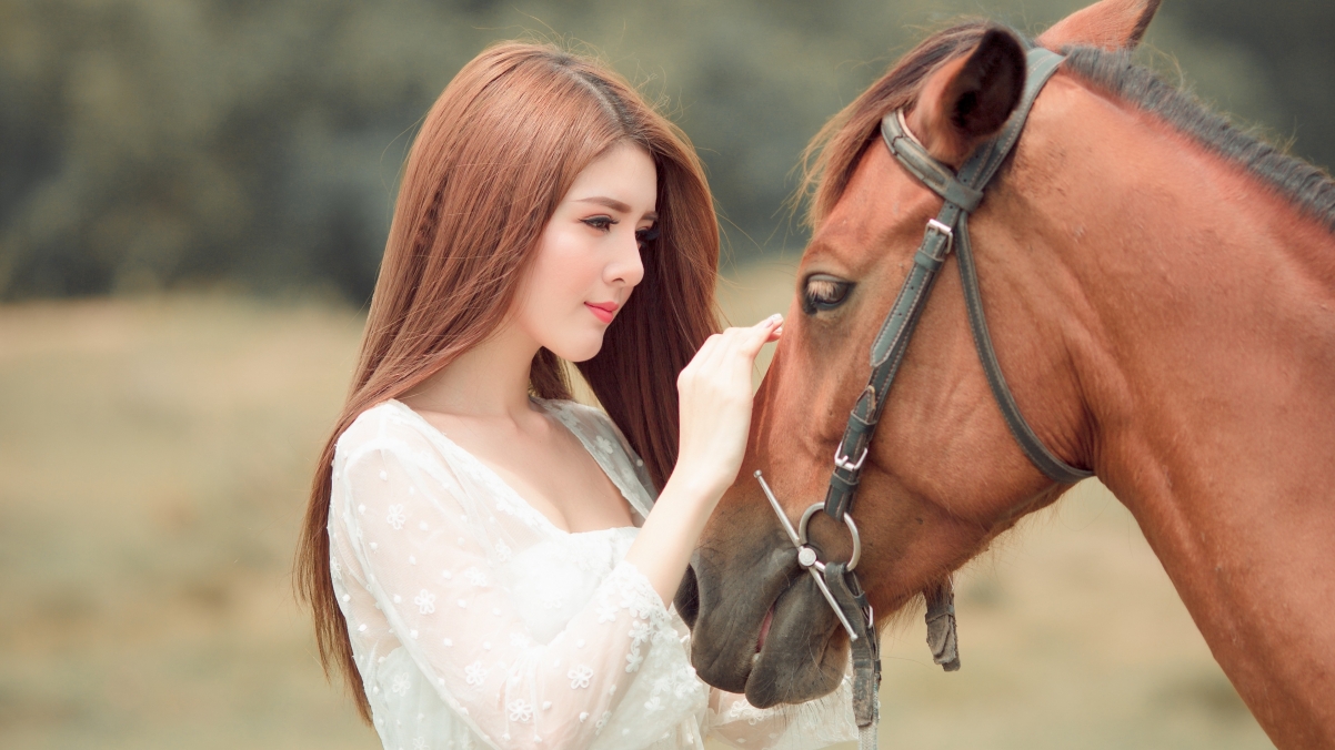 Pretty girl beauty and brown horse 4k