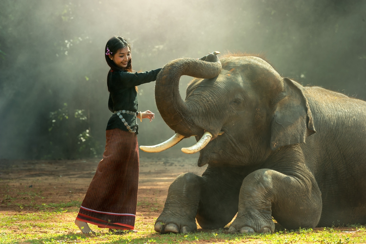 Girl elephant 4K beauty picture