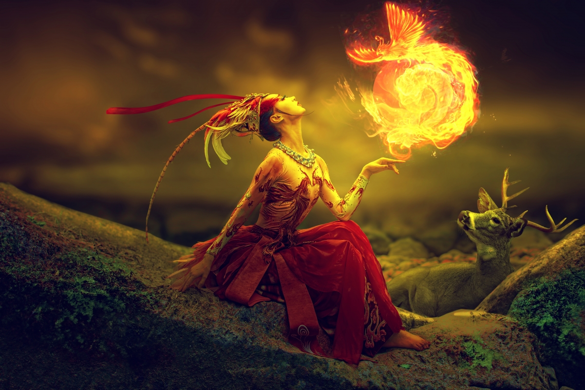 Beautiful Fire Phoenix 5K HD Wallpaper