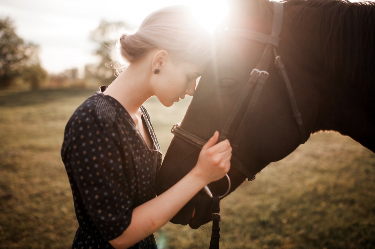 Beauty and Horse 5k HD Wallpaper