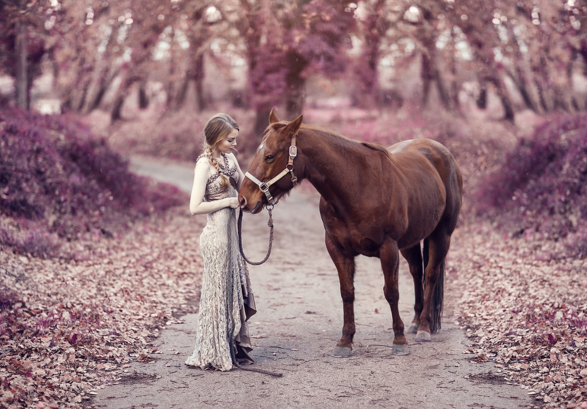Beauty and horse 4k pictures