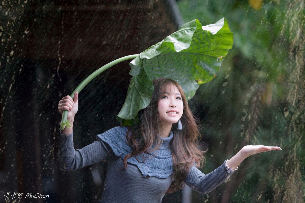 Beauty green plant leaf water 4