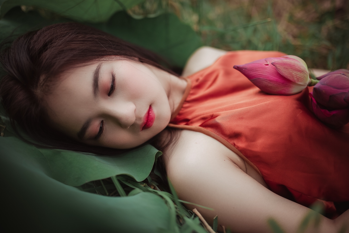 Beautiful beauty lotus 5k wallpaper