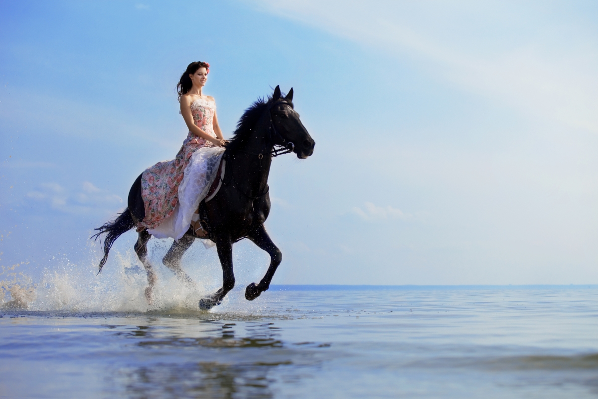 Beautiful smiling horse by the sea 5K wind
