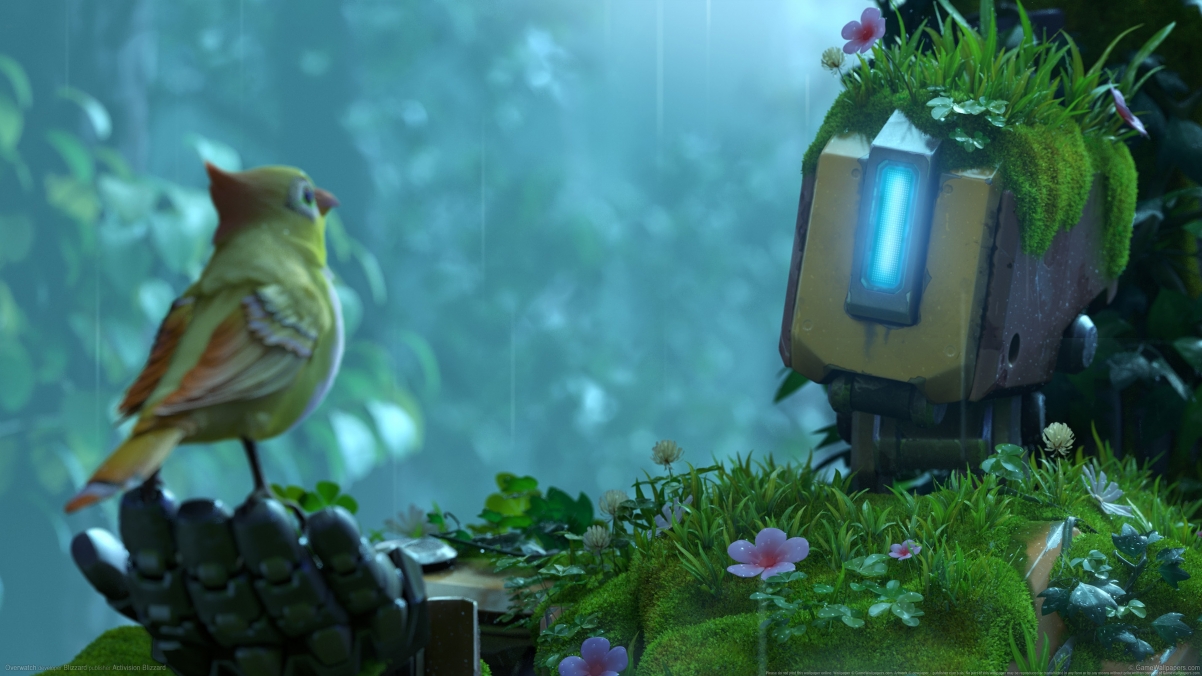 Overwatch Bird Nini 4k Wallpaper