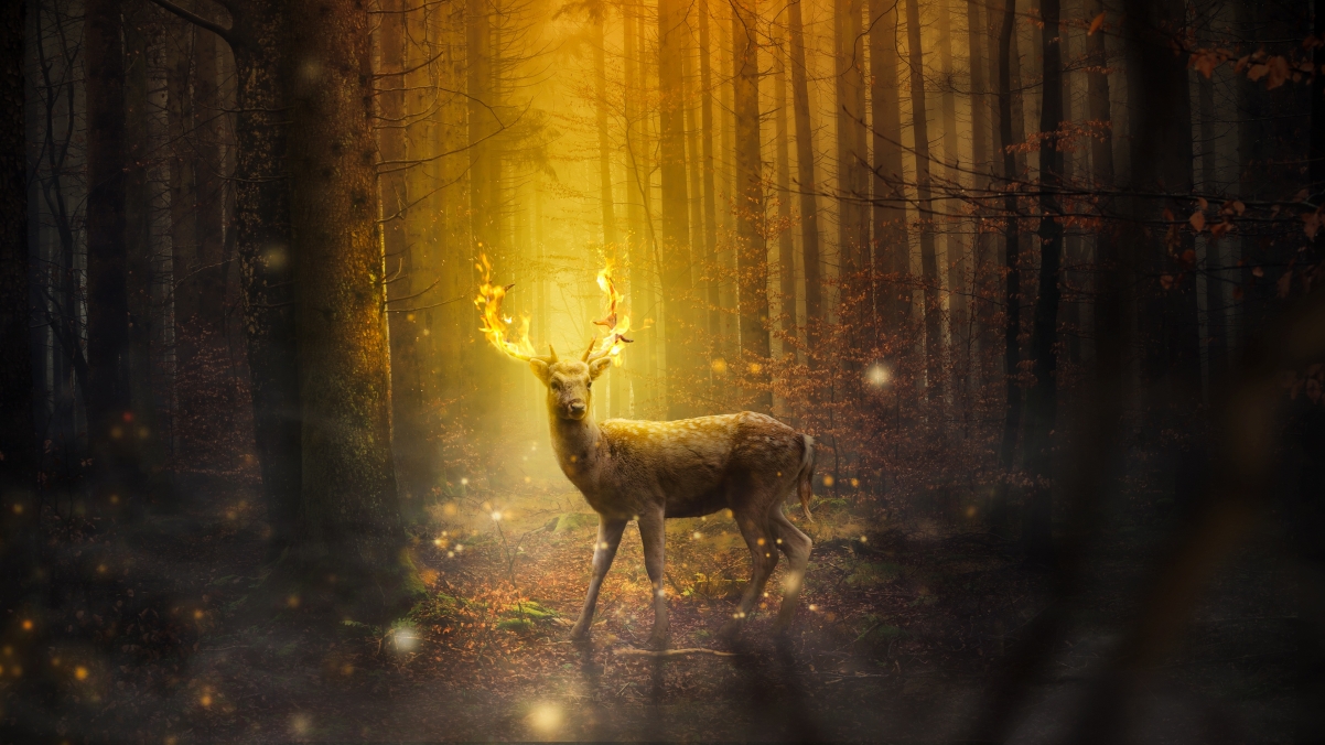 Deer Fire Forest Autumn Graphic Creation