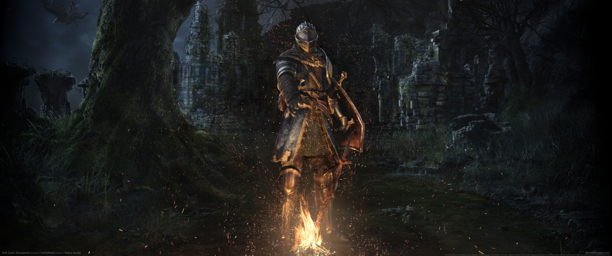 Dark souls 344