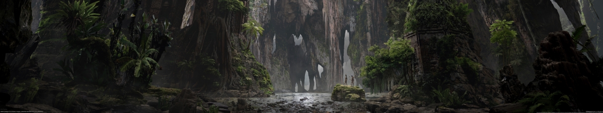 Dark Road Valley Cliff Tree Rock Cave