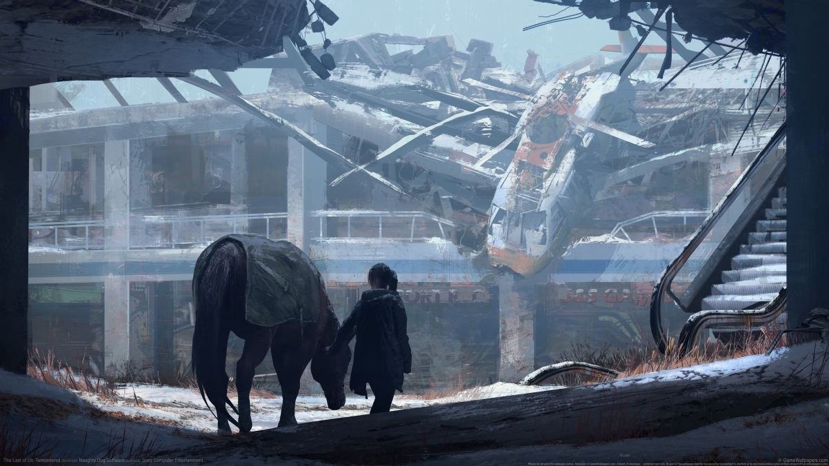 The Last of Us Remake 4