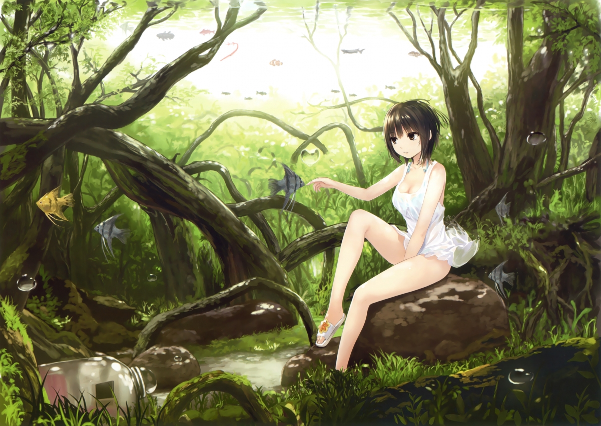 Forest scenery, trees,, water fish, short hair