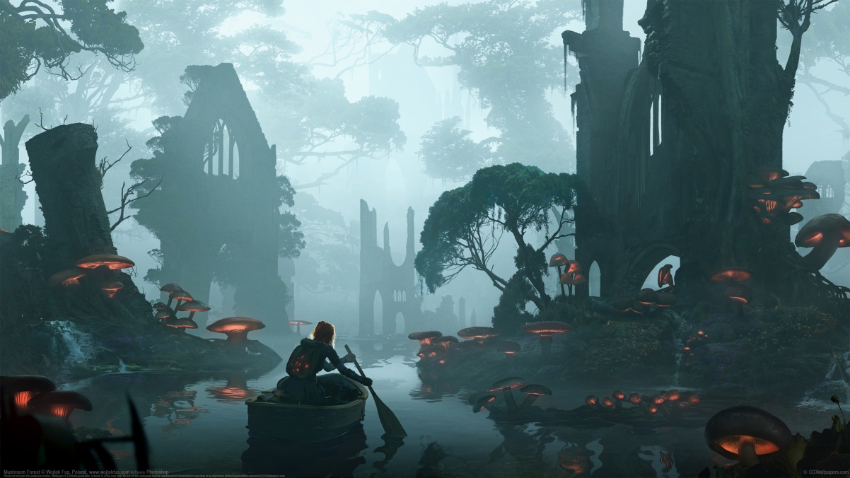 Mushroom Forest 4k Wallpaper by Wojte