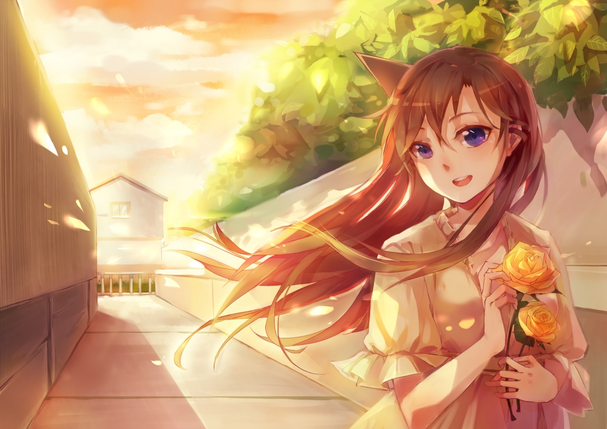 Detective Conan Xiaolan 4k Anime Wall