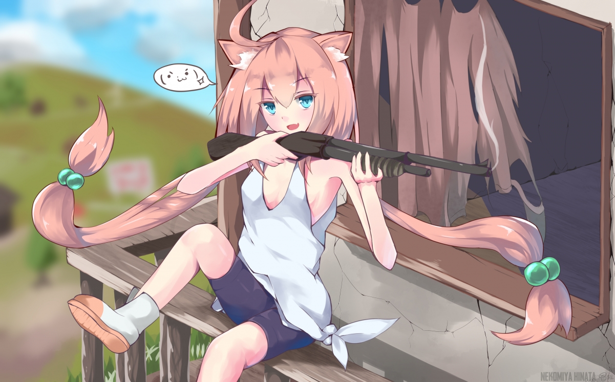 Cat Palace Sun PlayerUnknown