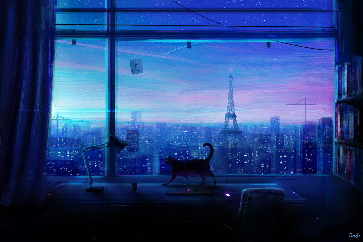 Lonely night cat windowsill city night