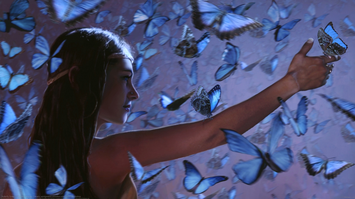 Butterfly Queen 4k Wallpaper