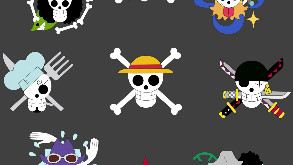 One Piece Pirate Captain Skull