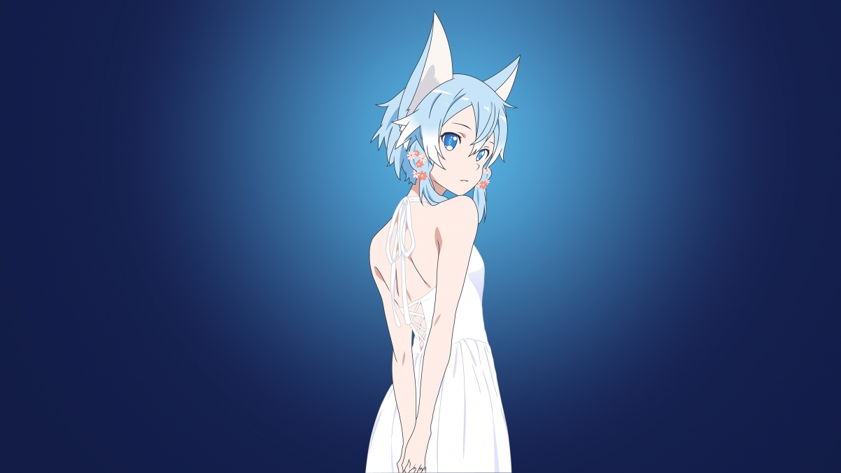 Sword Art Online Asada Shino sino