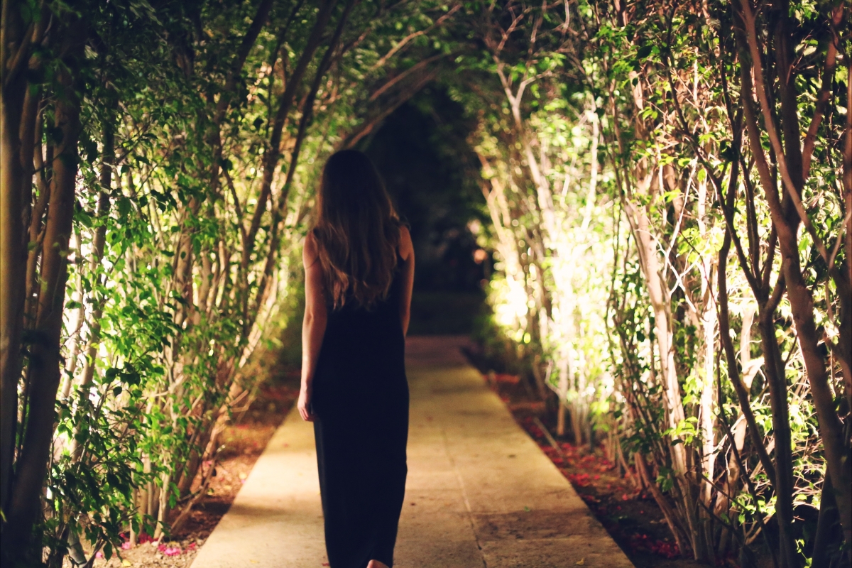 Beautiful arched tree path at night