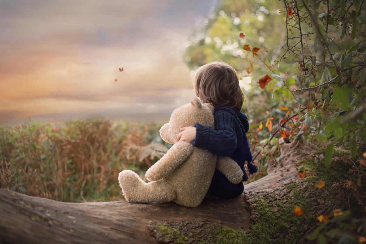 Autumn, nature, boy, toys,
