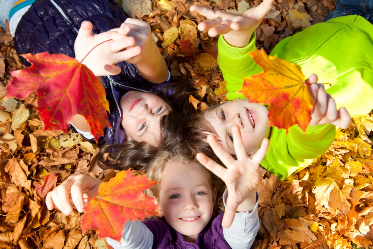 Cute children on autumn leaf meadow